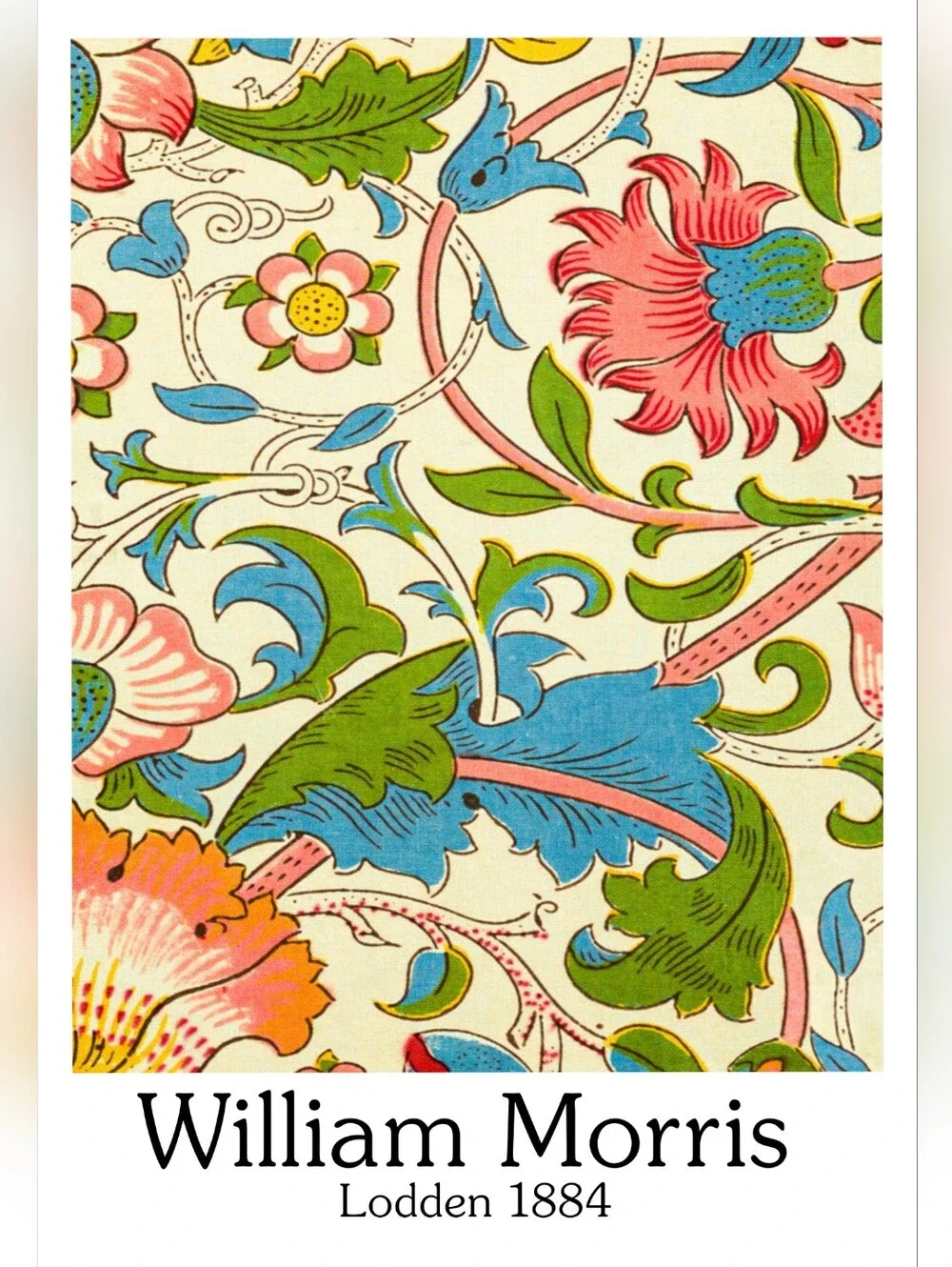 Lodden 1884 Floral Wall Art Print - Pink, Blue, Green 16x20